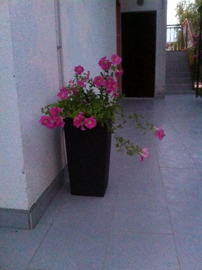Apartmani Jadranka Водице Екстериор снимка
